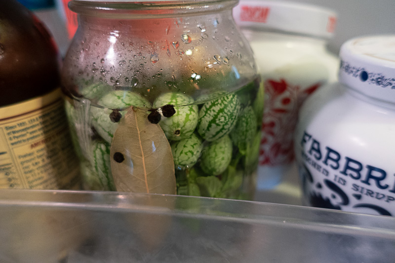 Jar of cucamelon pickles in the fridge