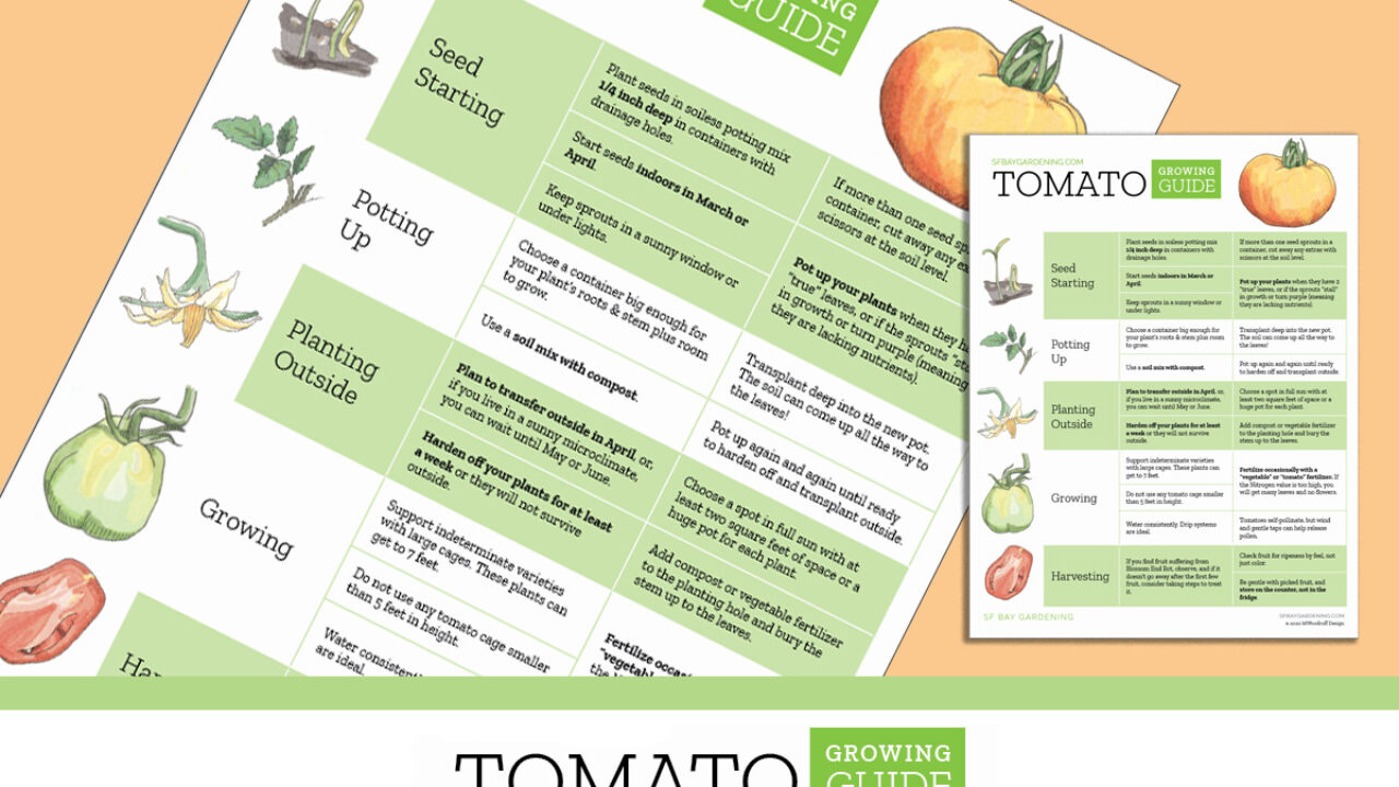 How to Grow Tomatoes - Farmers' Almanac - Plan Your Day. Grow Your Life.