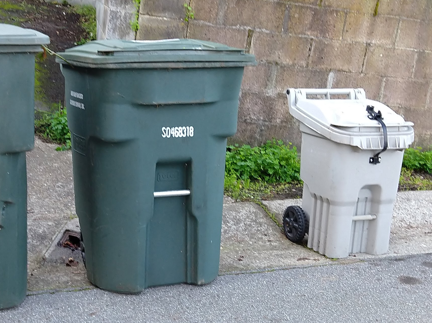 Compost and yard waste versus trash